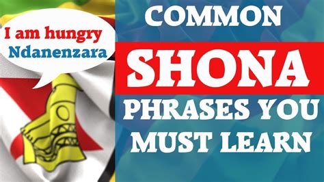 english to shona language|pakaipa meaning in english.